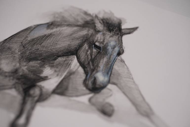 Original Realism Horse Drawing by Nastya Parfilo