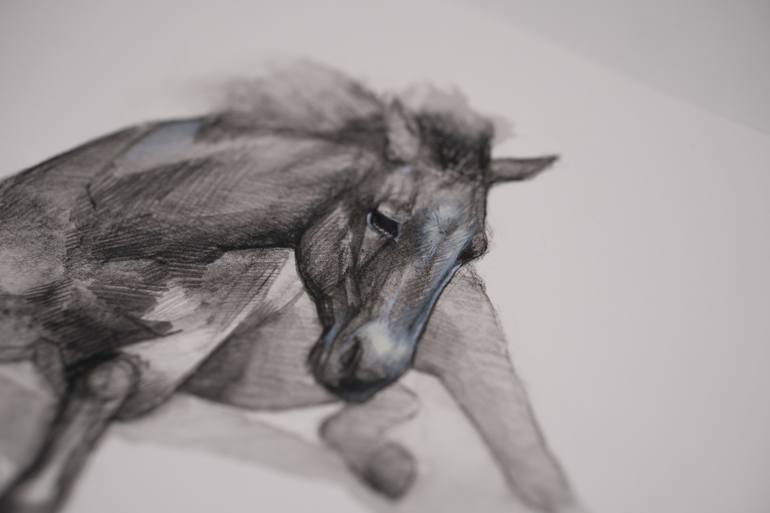 Original Realism Horse Drawing by Nastya Parfilo