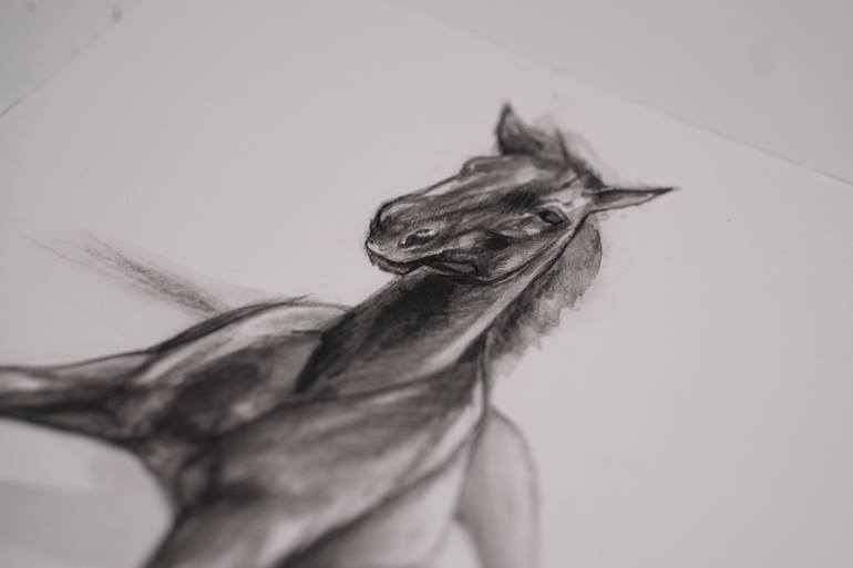 Original Realism Horse Drawing by Nastya Parfilo