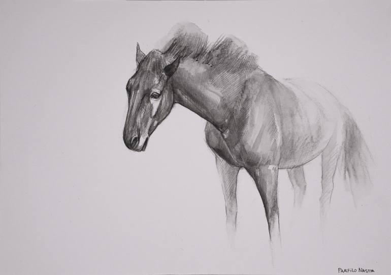 Original Realism Horse Drawing by Nastya Parfilo