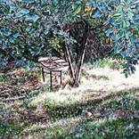 A Table In The Garden by Dimka Wallhack