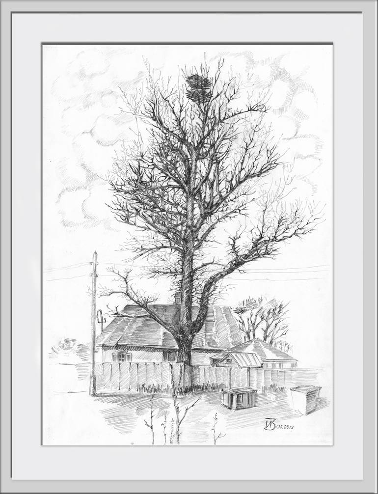 Original Conceptual Tree Drawing by Irina Zarubina