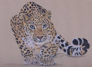 Endangered Animals Drawings Artworks | Saatchi Art