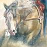Collection Equine Art