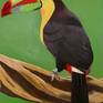 Close up of 'Two Toucans'
