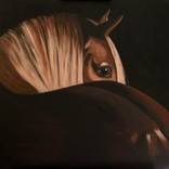 Horse Looking Back by Caroline Millott