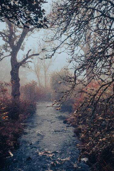 Original Landscape Photography by Sarah Morton