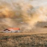 The Red Roof by Sarah Morton