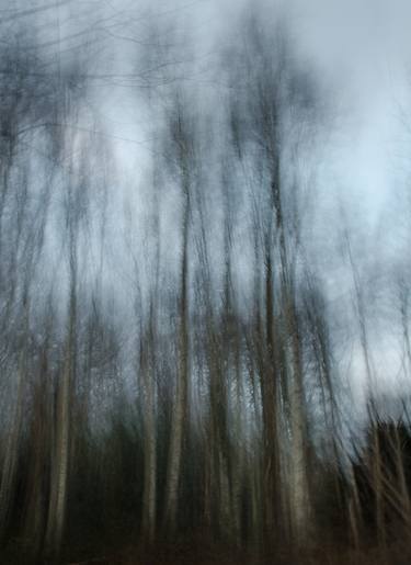 Study in Greys - Winter Woods - Limited Edition of 1 thumb