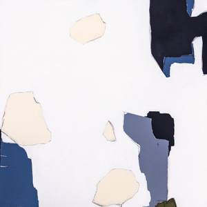 Collection Fair Director's Preview - The Other Art Fair Chicago 2024