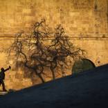 The Illusion of Life - Limited Edition of 30 by Scott Hefti