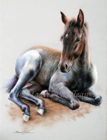 Print of Fine Art Horse Drawings by Maureen Shelleau