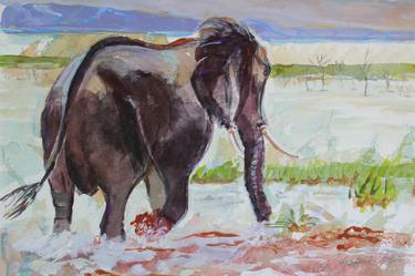 Original Animal Paintings by Angela Herbert-Hodges