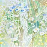 Flower Fields by Fleur Thesmar
