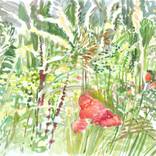 Red Poppy by Fleur Thesmar