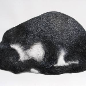 Untitled 30