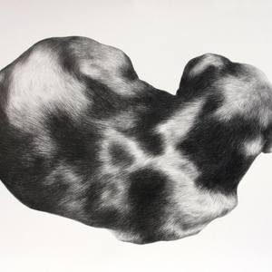 Untitled 32