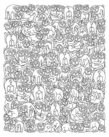 Original Animal Drawings by Lady Beaver