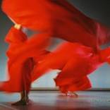 Body Speech/Dance by Stelios Baklavas