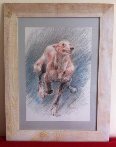 Original Dogs Drawings by Helen Uter