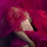 Rosado. Male Nude by Daniel Jaems