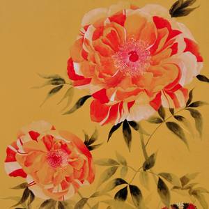 Collection Year of the Snake