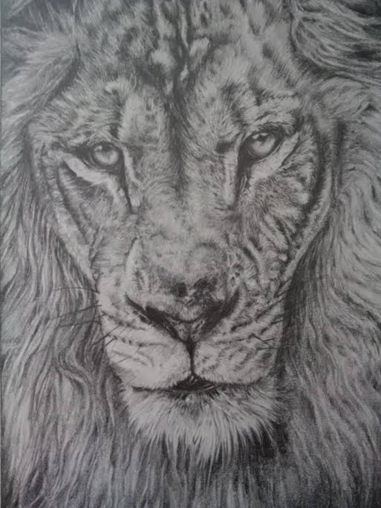 King Lion Drawing by Lilita Sokolova | Saatchi Art