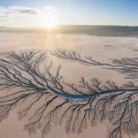 Collection The Deserts
