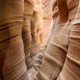 Collection The Deserts