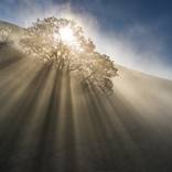 The Annunciation #1 by Garret Suhrie