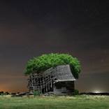Collection Forlorn & Forgotten