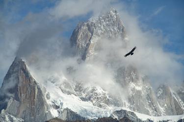 The Argentinian Condor #2 thumb