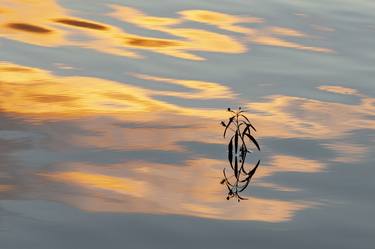 Print of Fine Art Water Photography by Garret Suhrie