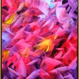 Abstract Painting (in rose gold frame) by Eva Mitera