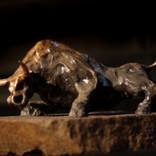 Collection Bull Sculptures