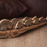 Collection Bull Sculptures