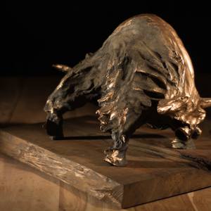 Collection Bull Sculptures