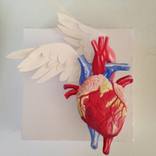Love can Fly by James Gordon
