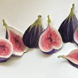 Figs by James Gordon