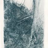 Woodland #1 by Lucille Clerc
