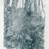 Woodland #2 by Lucille Clerc