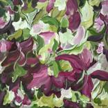Botanical Wilderness by Amber Gittins