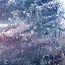 Stratospheric Transparency Detail3