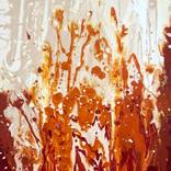 Collection Fluid acrylic