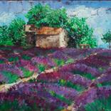 Collection landscape, seascape