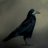 Crow by Robina Yasmin