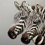 Golden Couple by Robina Yasmin