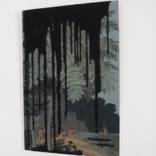 Collection Disasters