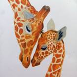 Giraffe family by Iryna Mykhailenko