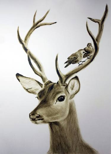Print of Figurative Animal Drawings by Iryna Mykhailenko